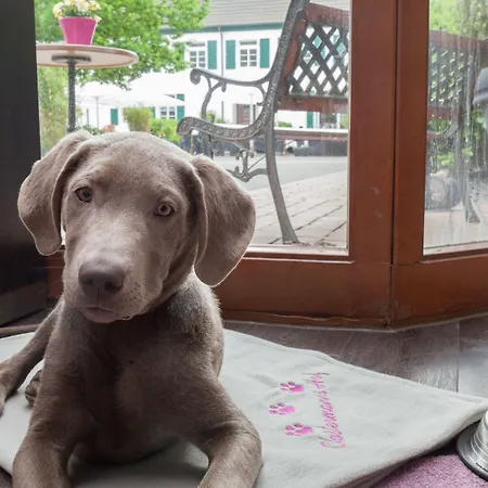 Ξενοδοχείο Clostermanns Hof 4*