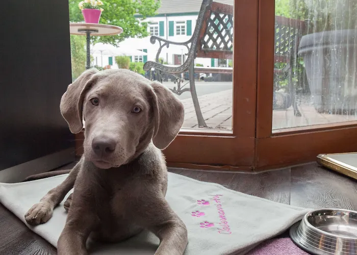 Hotel Clostermanns Hof 4*